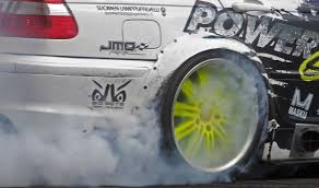 Attēlu rezultāti vaicājumam “Lycogala persicum”