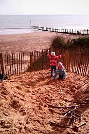 Image result for Dawlish Sc