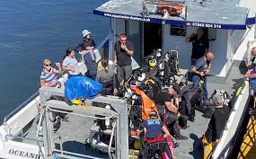 Image result for London Hellfins