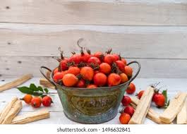 Attēlu rezultāti vaicājumam “Rosa villosa fruit”