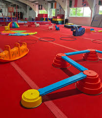 Image result for Buckley Girls Gymnastic Club