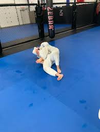 Image result for Somerset Jeet Kune Do