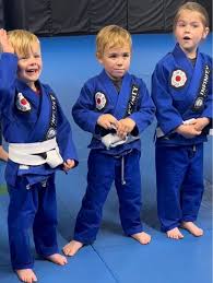 Image result for Heanor Ju-Jitsu Club