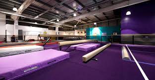 Image result for Arabian School Of Gymnastics, Milton Keynes