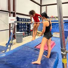 Image result for Angmering Gymnastics