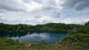 Image result for epl1 20mm night site:flickr.com