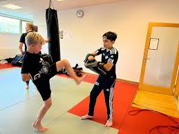 Image result for Vipers Thai/Kickboxing School