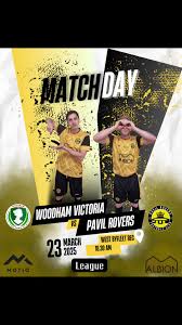 Image result for Byfleet Village Football Club