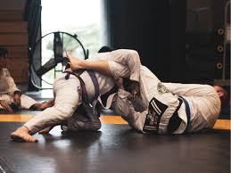 Image result for Hachidori ju-jitsu Martial Arts