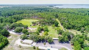 Image result for Property Gun and Punt Club