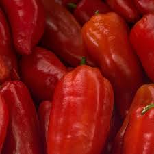 Afbeeldingsresultaat voor long red marconi sweet pepper