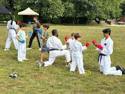 Image result for HEIWA SHOTOKAN KARATE CLUB