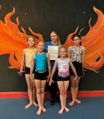 Image result for Phoenix Gymnastics Club