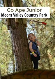 Image result for Go Ape! Moors Valley