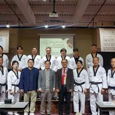 Image result for New Milton Taekwondo Club