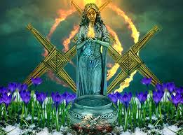 Image result for Ildblomkarse