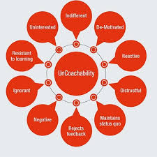 Image result for Coachability