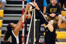 Image result for Newbury Volleyball Club