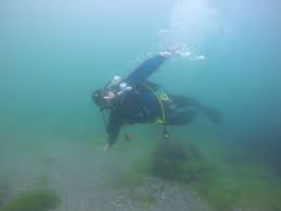 Image result for Torbay Sub-Aqua Club
