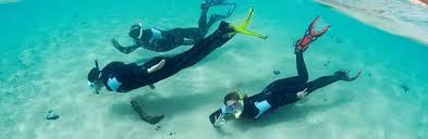 Image result for St. Albans Snorkelling Club (SASC)