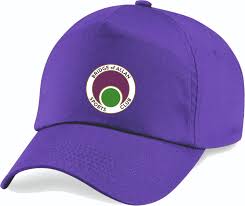 Image result for Bridge Of Allan Sports Club