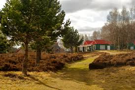 Image result for Carrbridge Golf Club