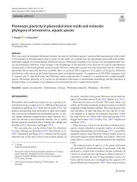 Attēlu rezultāti vaicājumam “Didymium nigripes young”