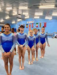 Image result for Bristol Hawks Gymnastics Club