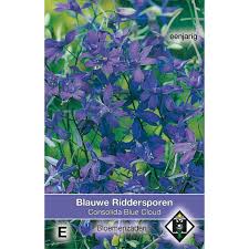 Image result for Consolida ajacis oder Consolida regalis