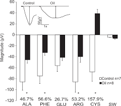 Image result for Hypanus sabinus