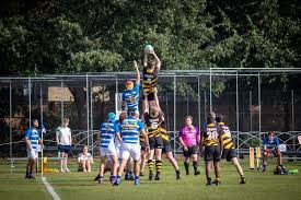 Image result for Bishop`s Stortford Rugby Football Club