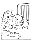 Guinea Pig coloring page