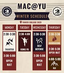 Image result for York University Taekwondo Club