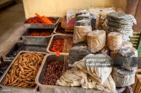 Attēlu rezultāti vaicājumam “Charales”