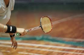 Image result for Apollo Badminton Club