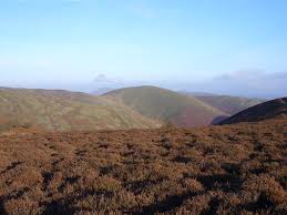 Image result for Long Mynd