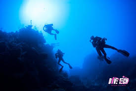 Image result for innerspace divers