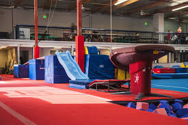 Image result for Redcar Gymnastics Club