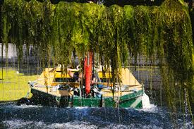 Image result for Islington Boat Club