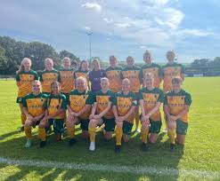 Image result for Haywards Heath Town Ladies Football Club