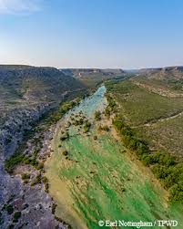 Image result for Dearne Valley Devils