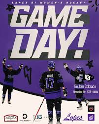 Image result for Brigg Hockey Club