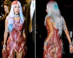 Image result for lady gaga meat dress