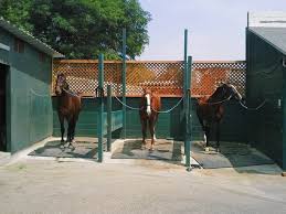 Image result for Peebles & District Riding Club