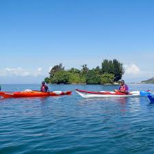 Image result for Kingfisher Canoe Club