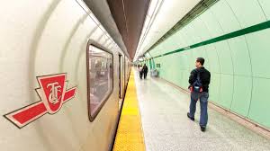 Image result for Speedwell Ttc