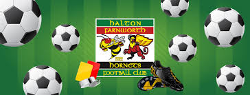 Image result for Halton Farnworth Hornets Rugby League Football Club