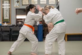 Image result for London Aikido Club