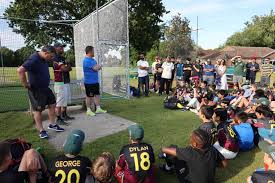 Image result for Ifield Cricket Club