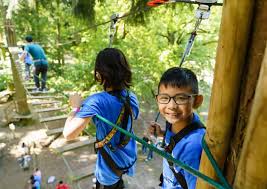 Image result for Go Ape! Alice Holt